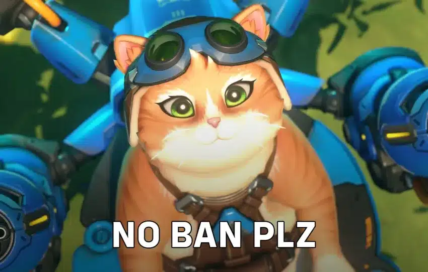 Overwatch Héros Jetpack Cat