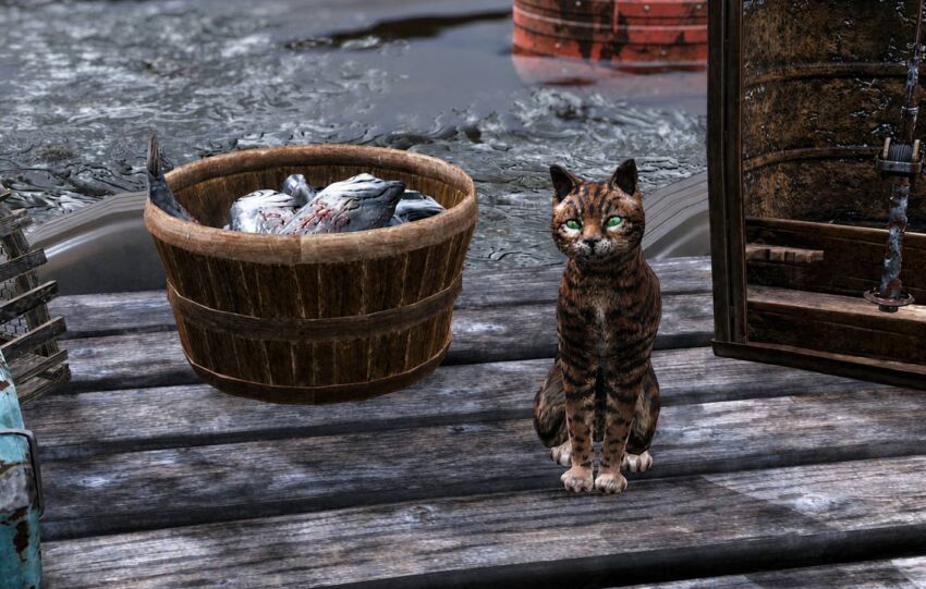 Fallout 76 : World Pets prépare les compagnons de Fallout 5